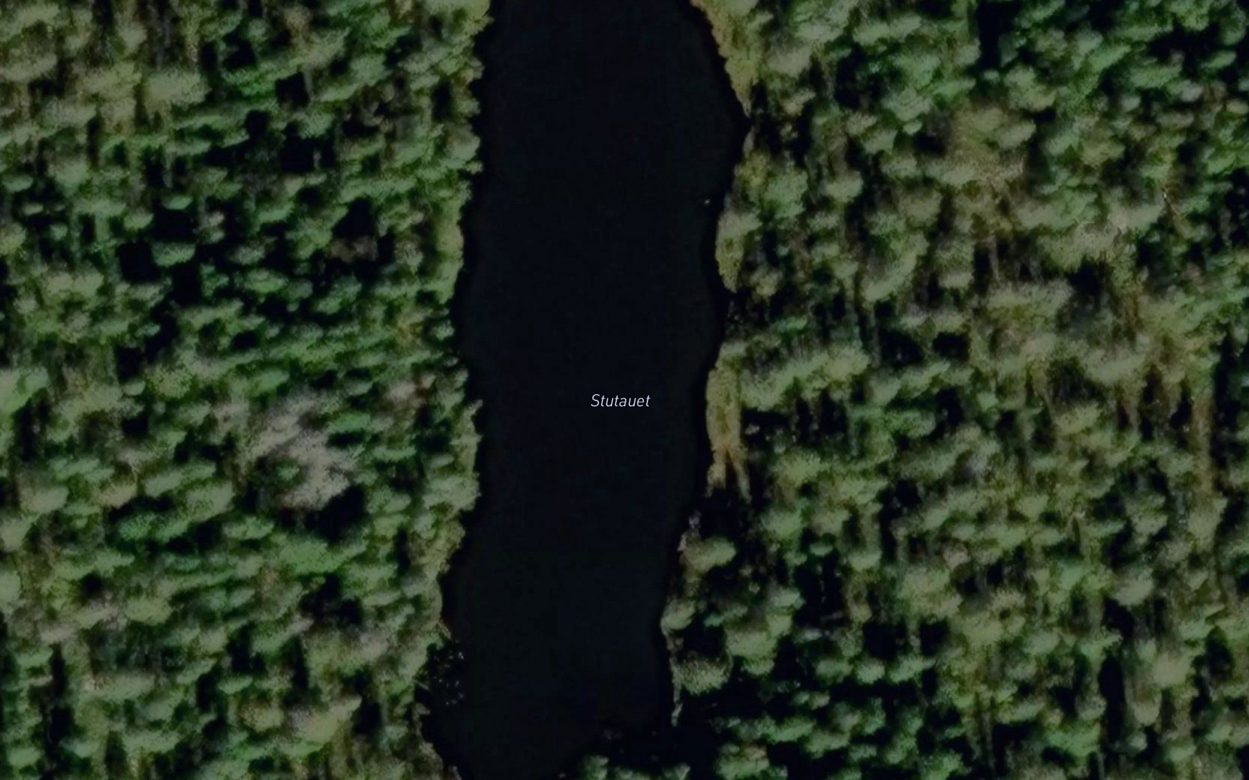 Stutauet