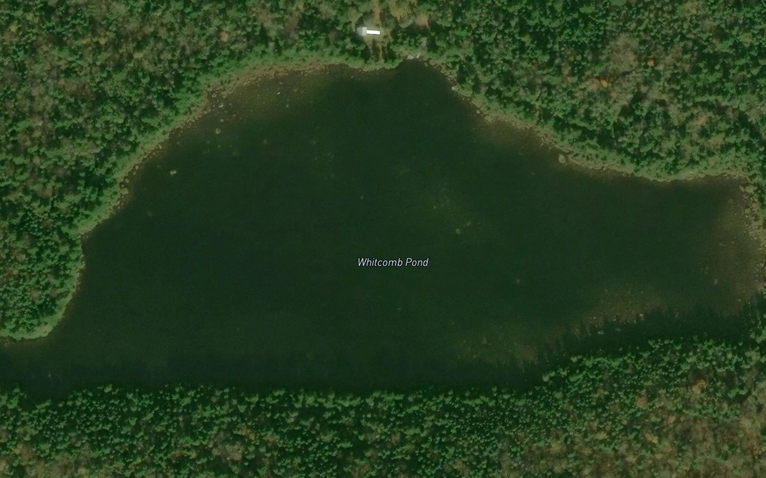 Whitcomb Pond