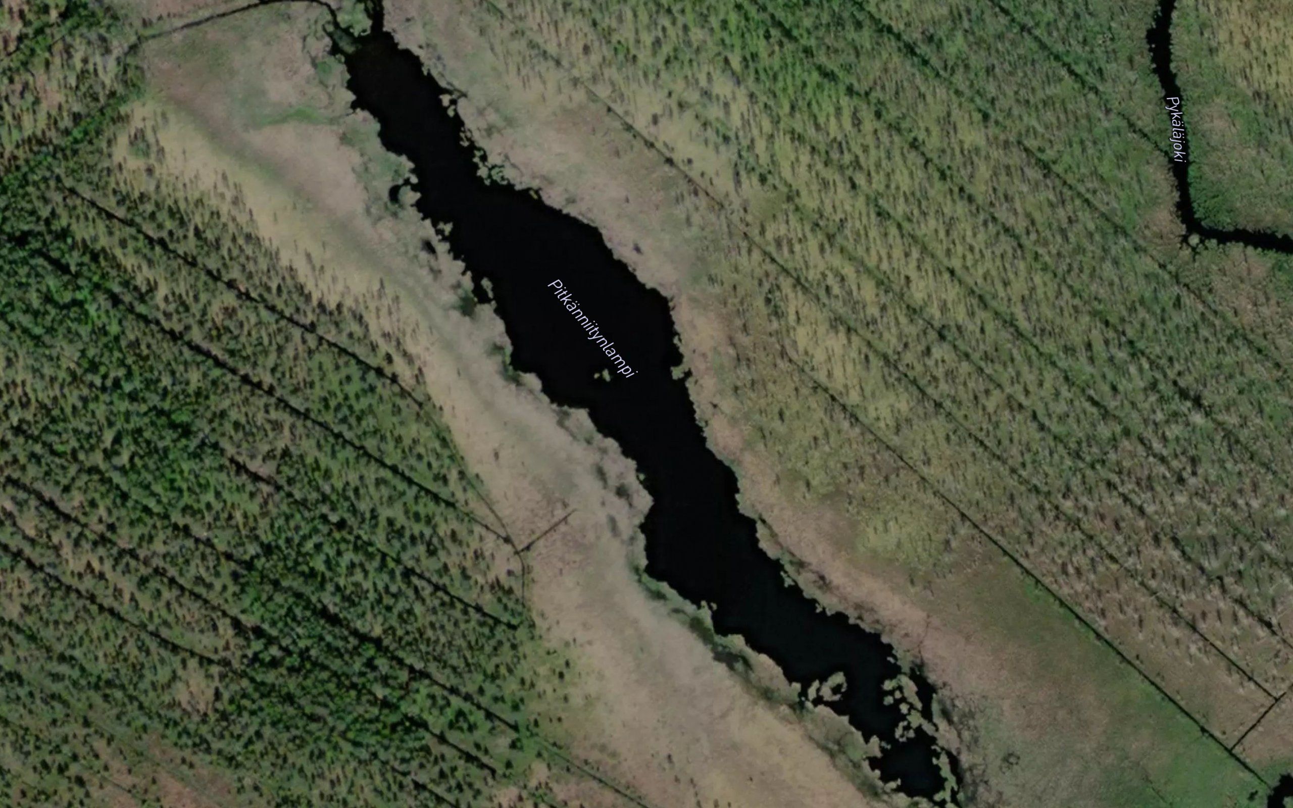 Pitkanniitynlampi
