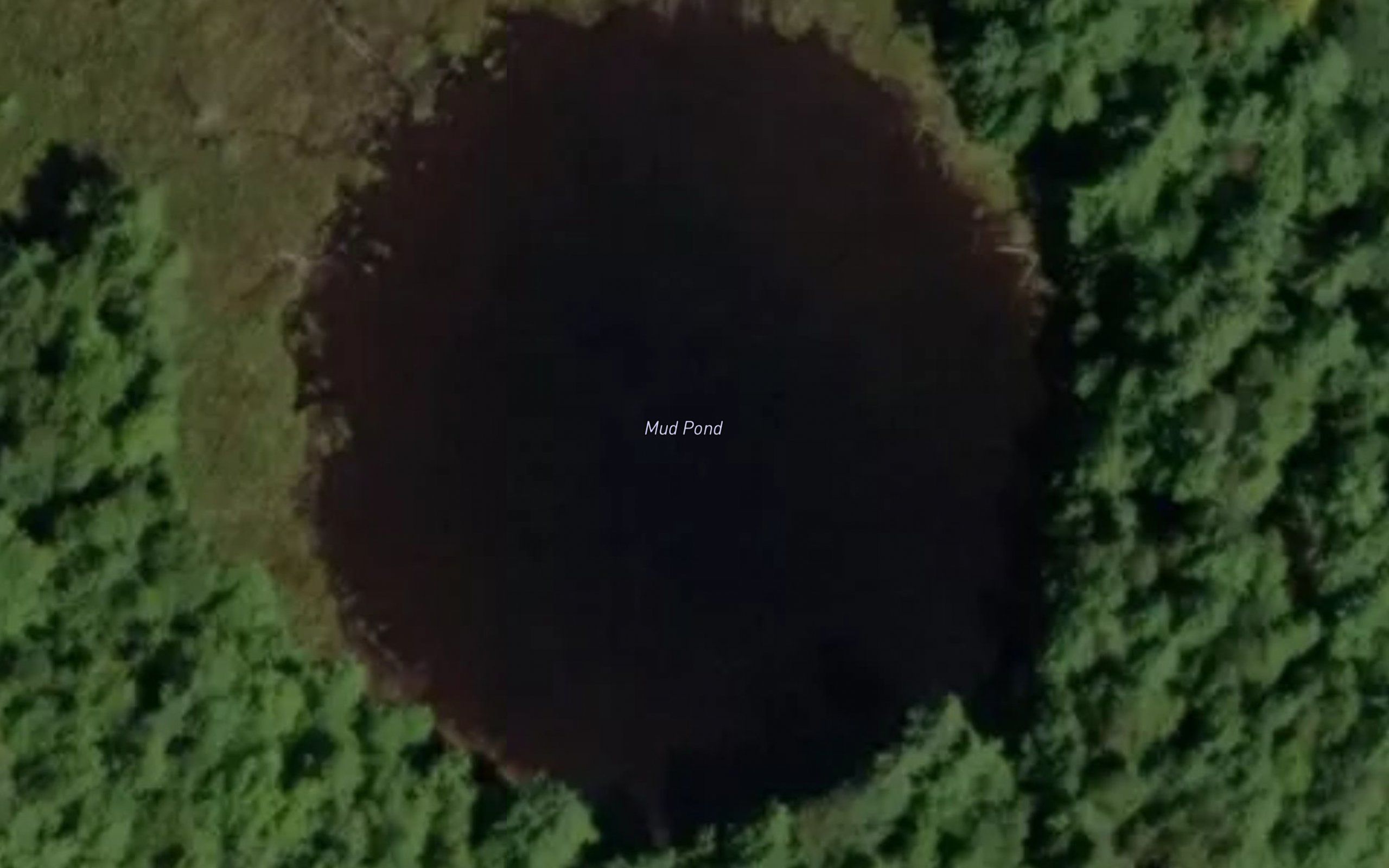 Mud Pond