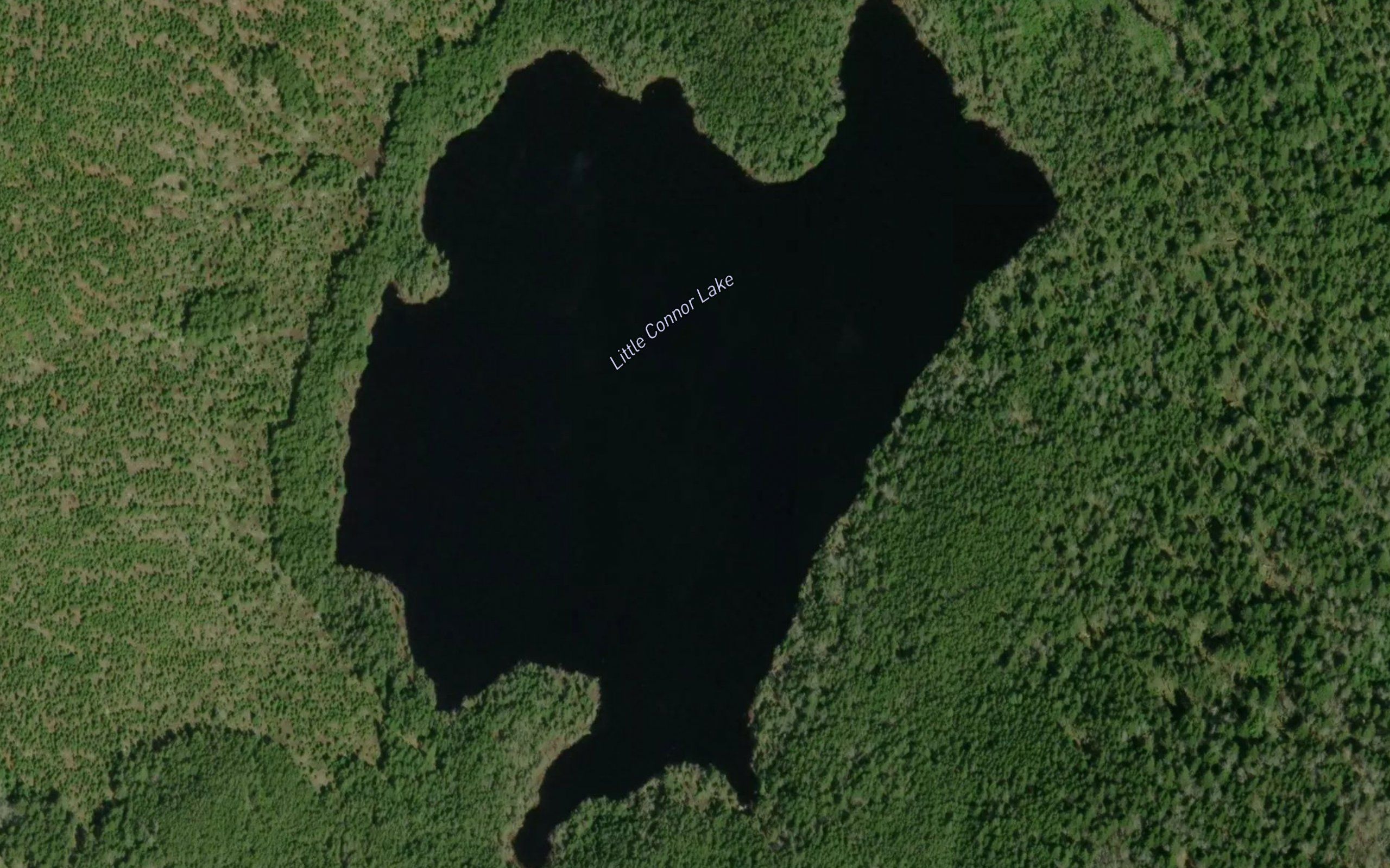 Little Connor Lake