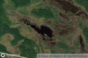 Kuikkaojanlampi