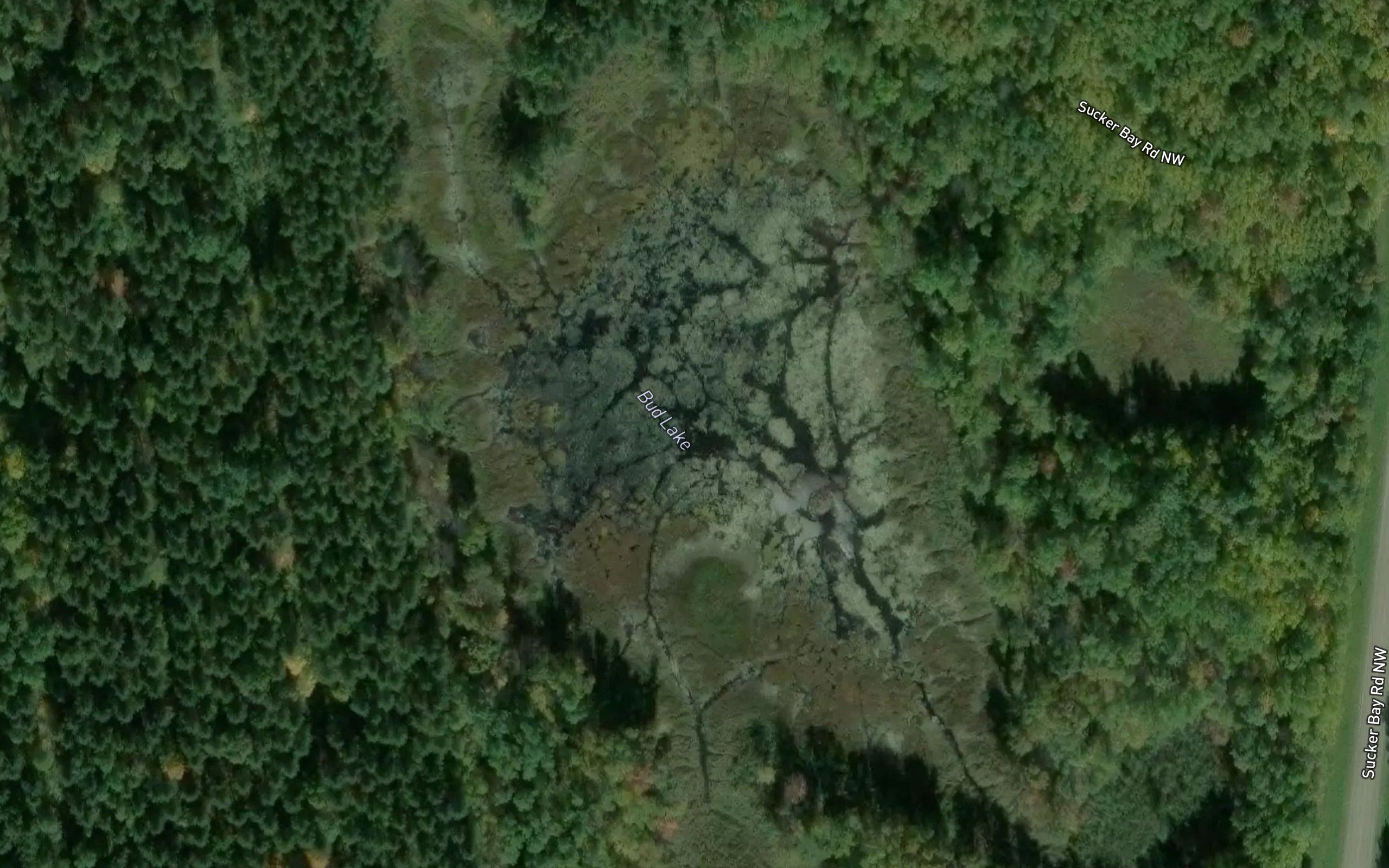 Bud Lake