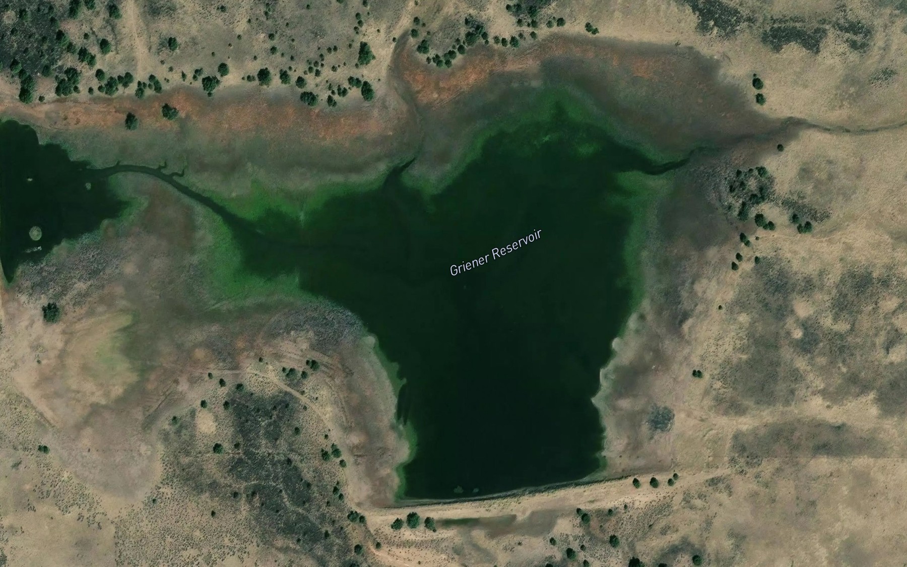 Satellite map of the Griener Reservoir