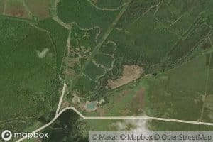 Swift Bayou