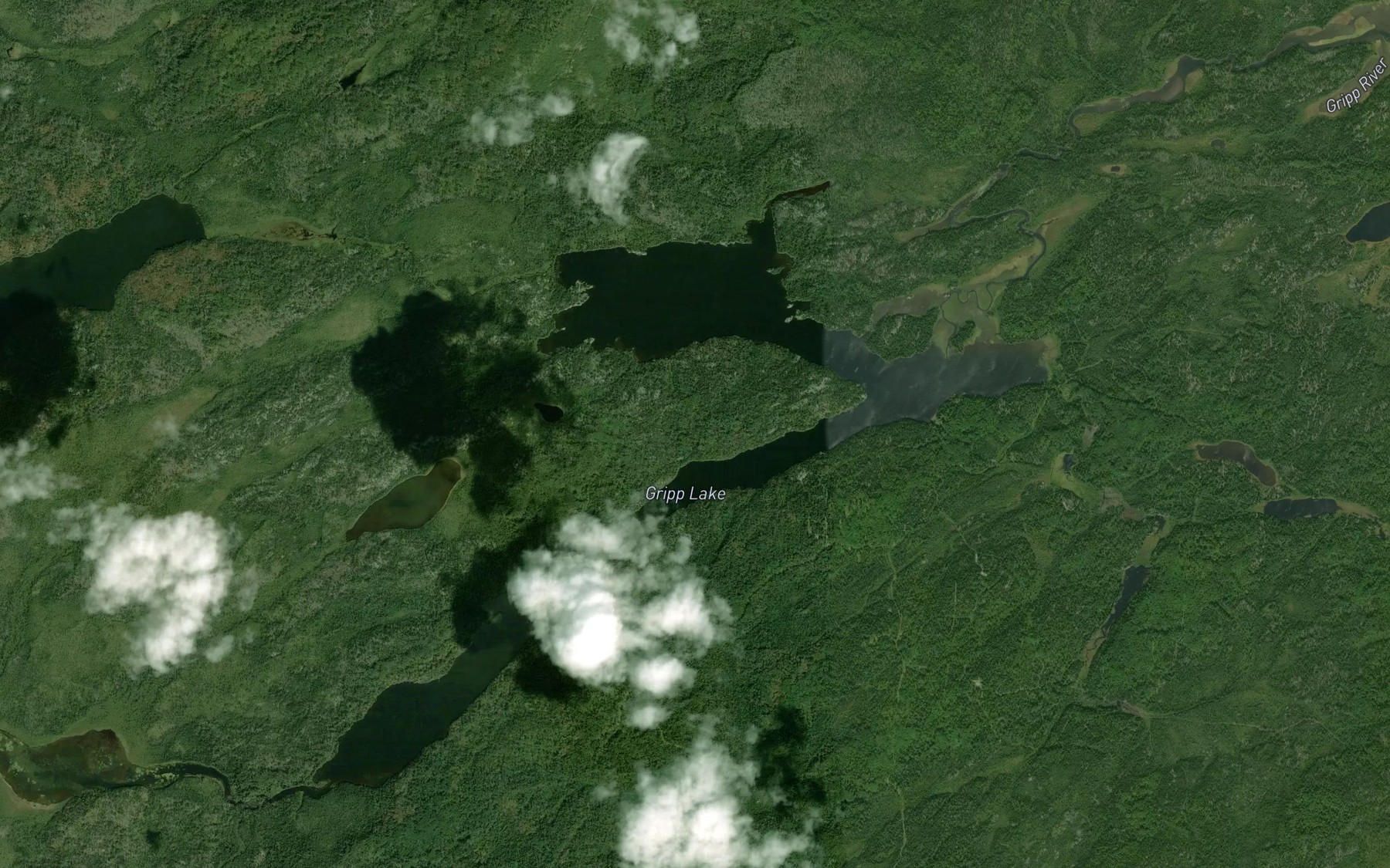 Satellite map of the Gripp Lake