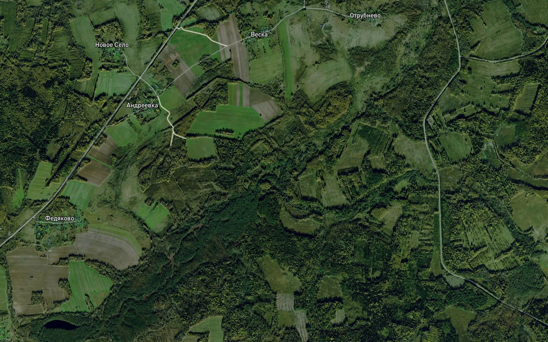 Satellite map of the Bolzhbina