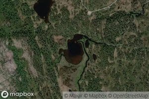 Lognetjorn nedre