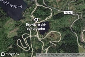 Drevtjorn
