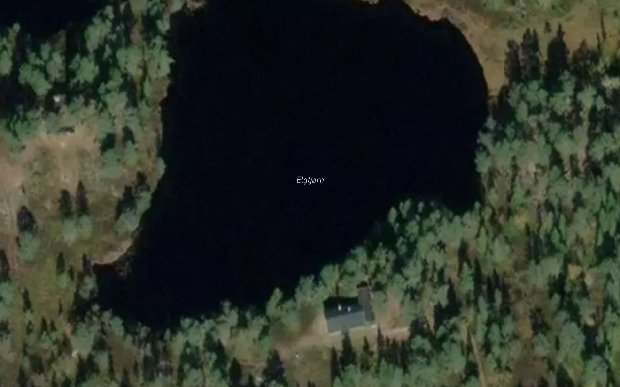 Elgtjorn