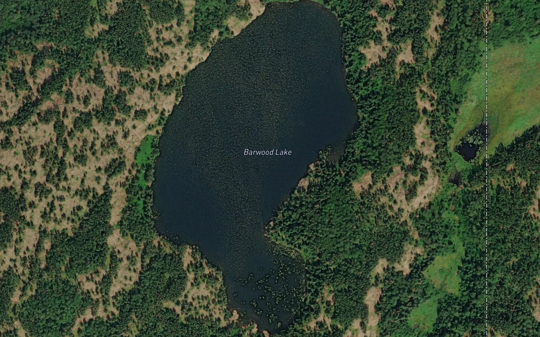 Satellite map of the Barwood Lake