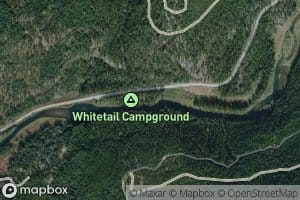 Whitetail Creek
