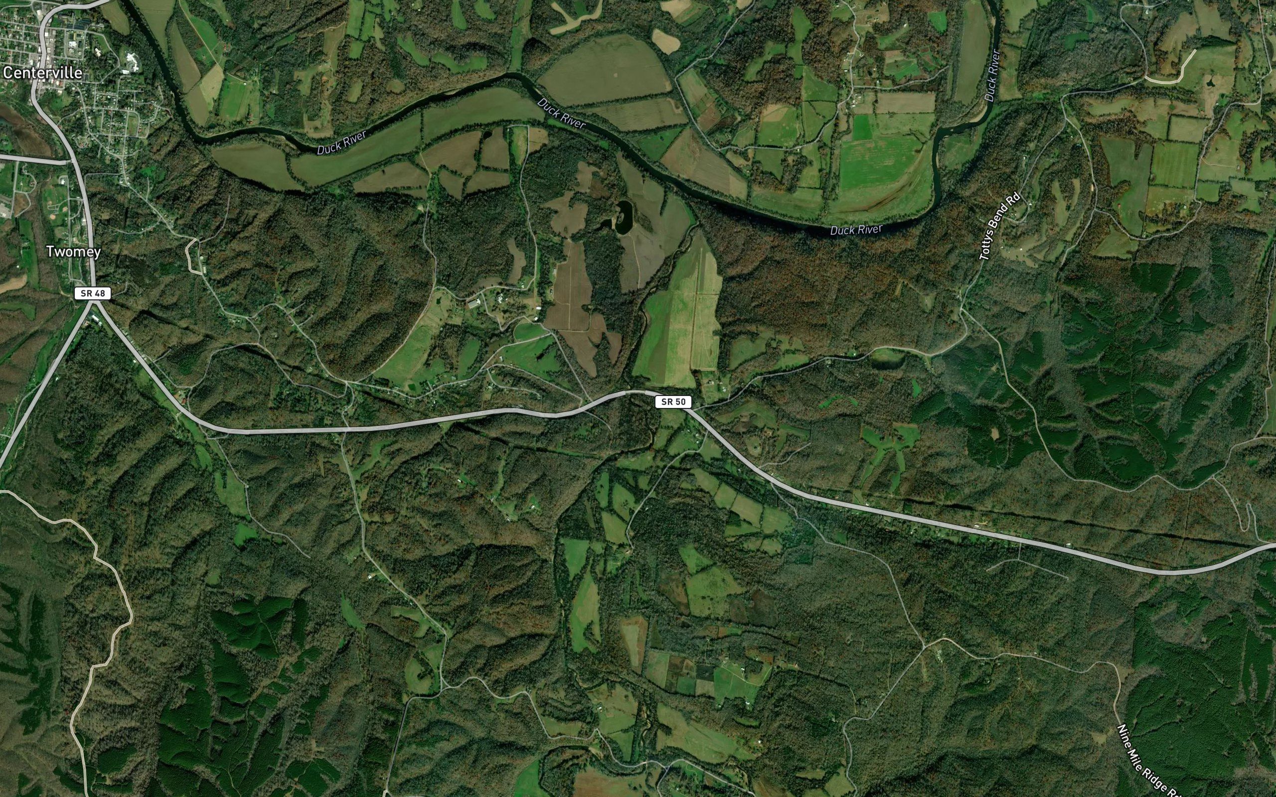 Piney Branch