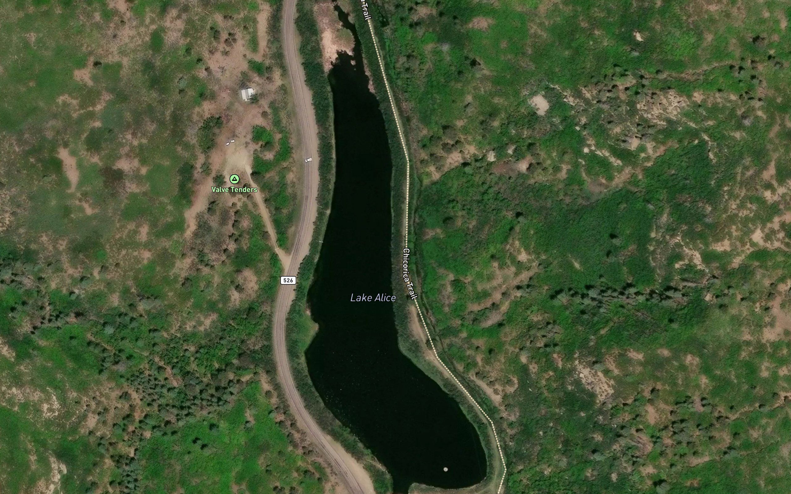 Lake Alice