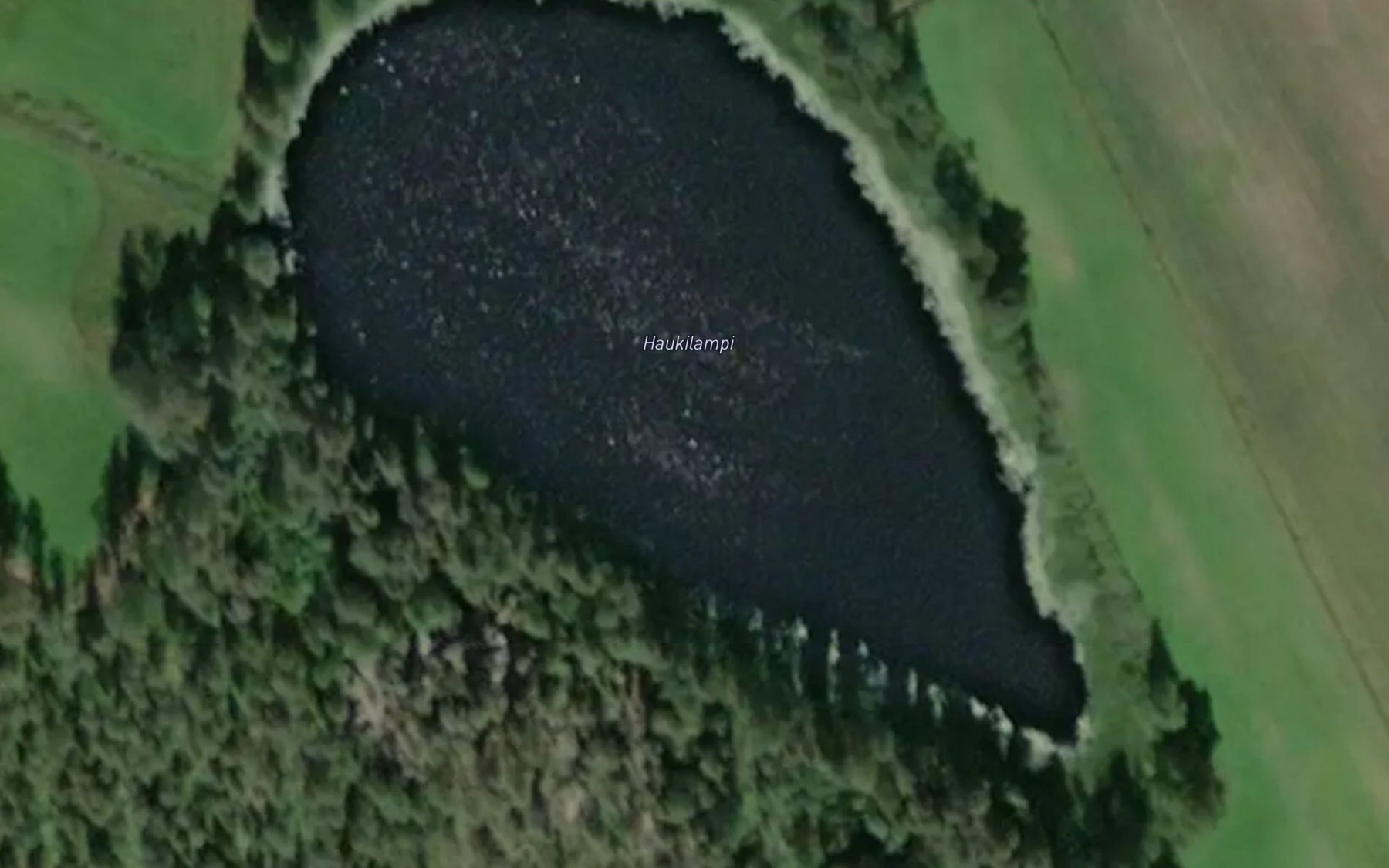Satellite map of the Haukilampi