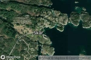 Skaraviki