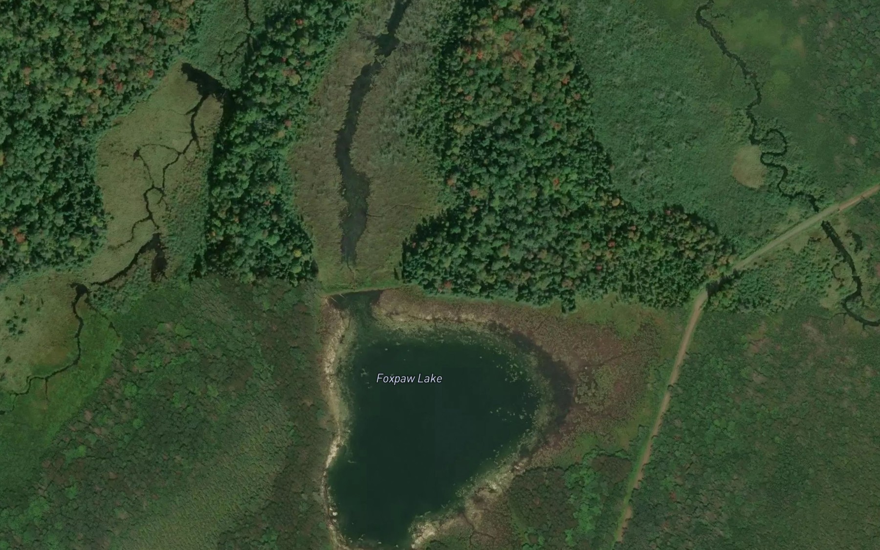 Satellite map of the Foxpaw Lake