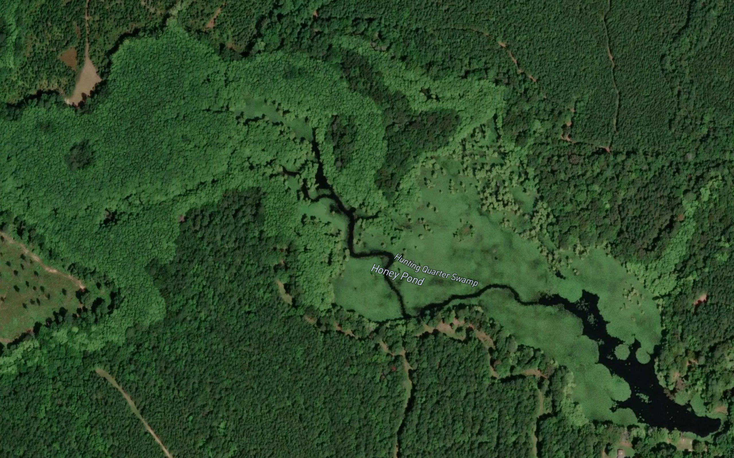 Honey Pond