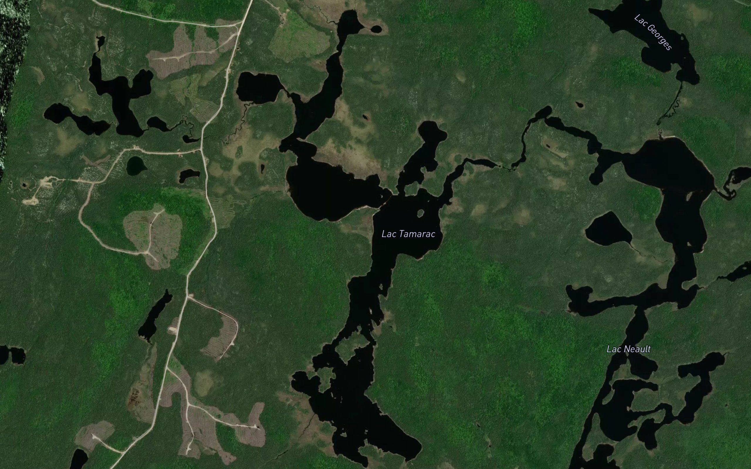 Lac Tamarac