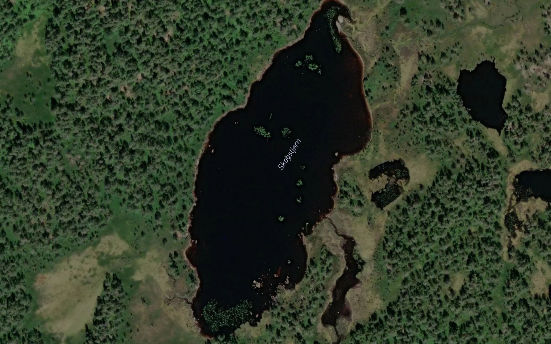 Satellite map of the Skogstjorn