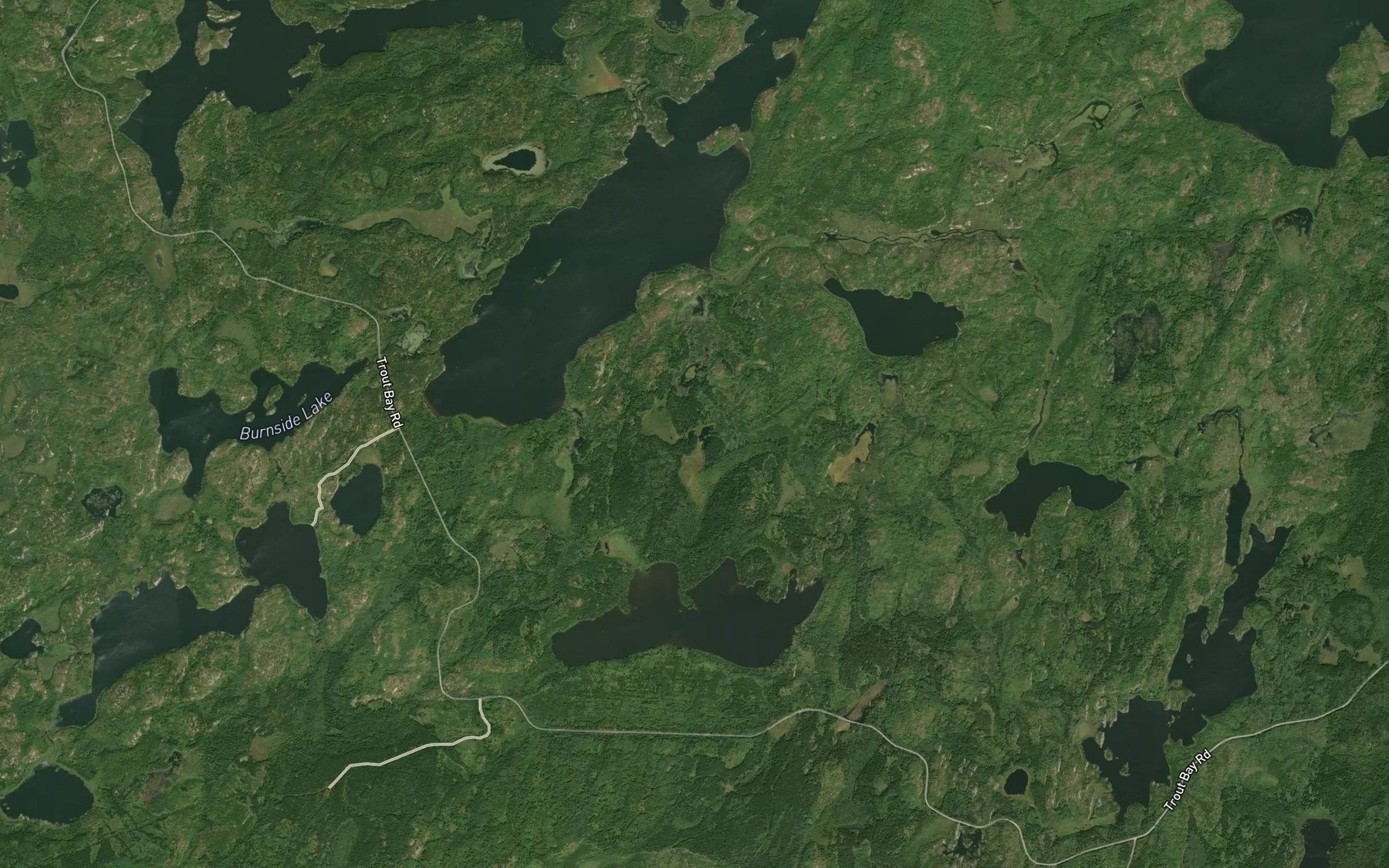 Satellite map of the Trout Bay