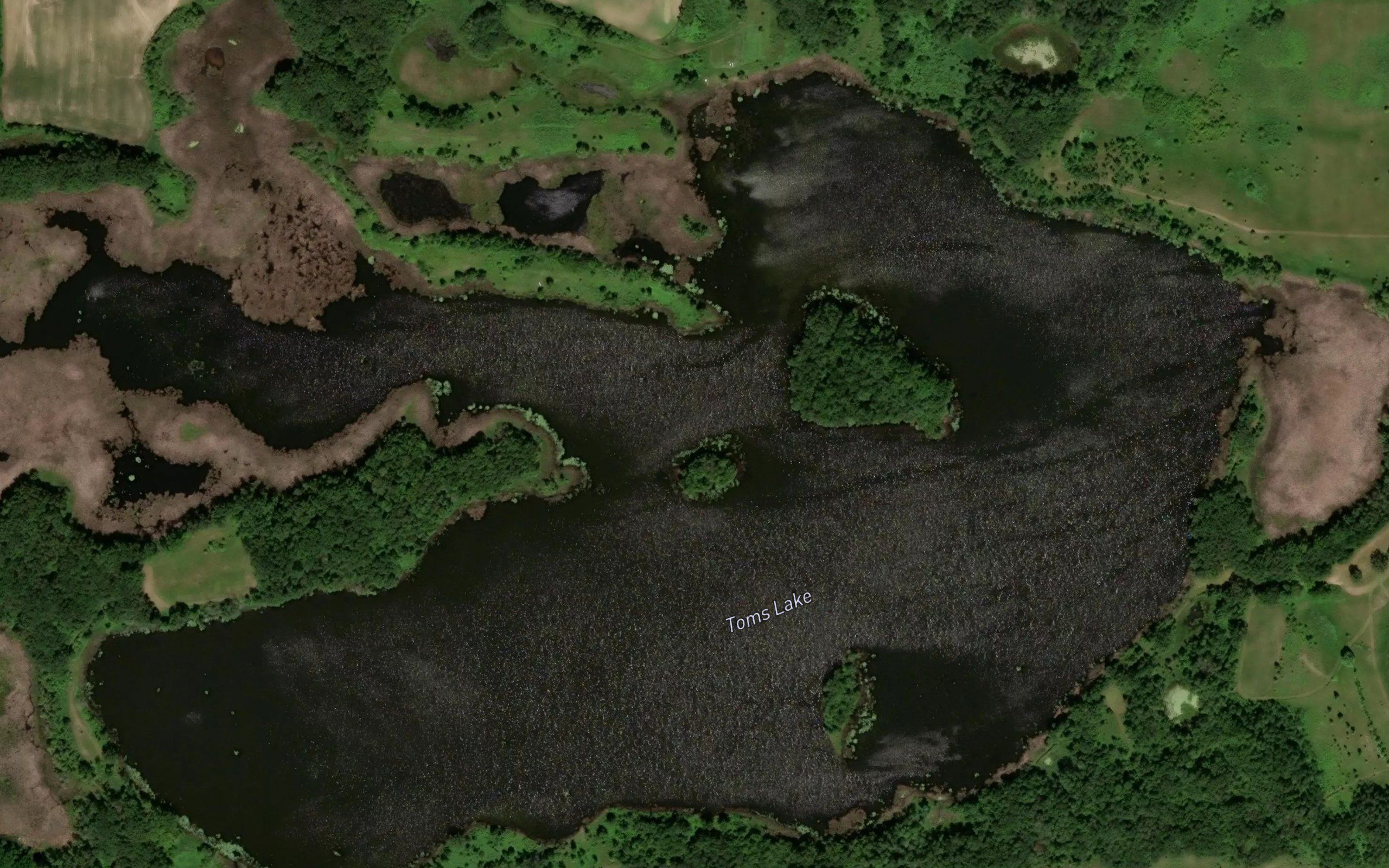 Toms Lake