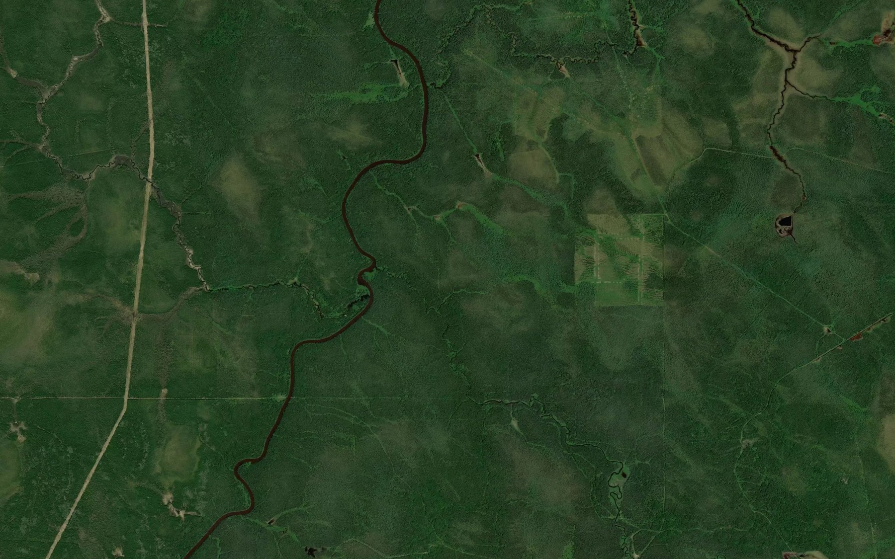 Satellite map of the Reaume Creek
