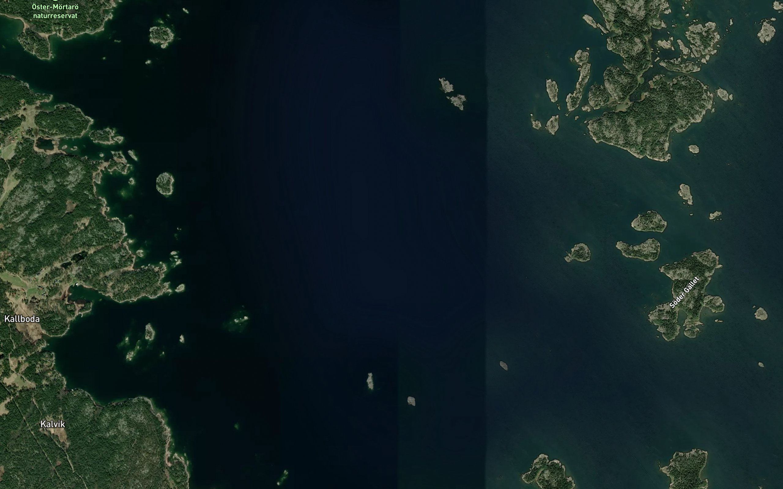Gallfjarden