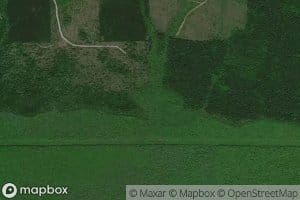 Cow Branch