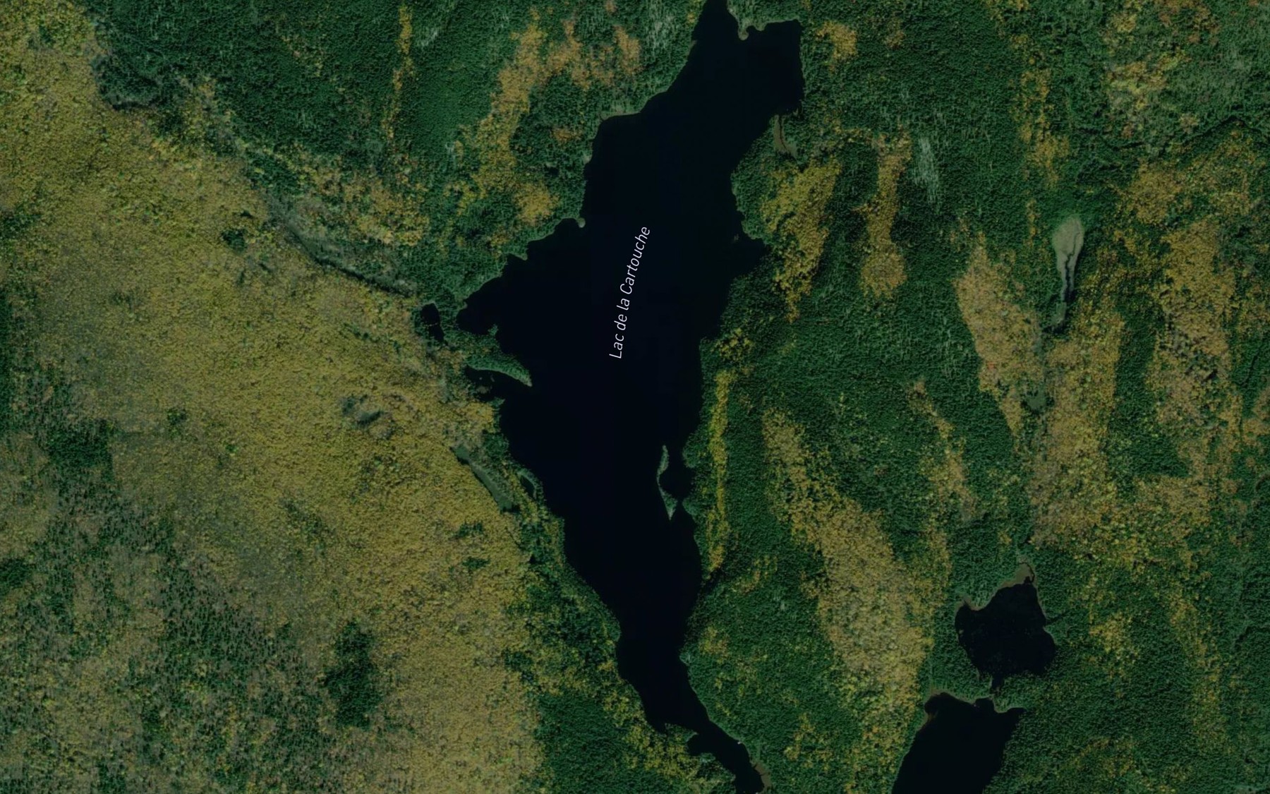 Satellite map of the Lac de la Cartouche