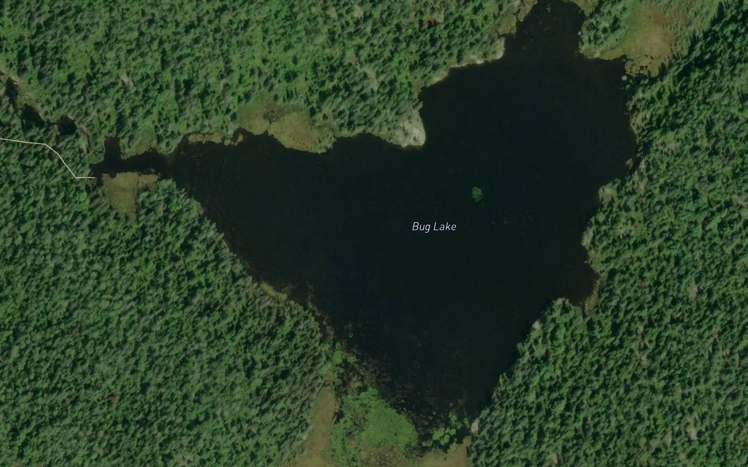 Bug Lake