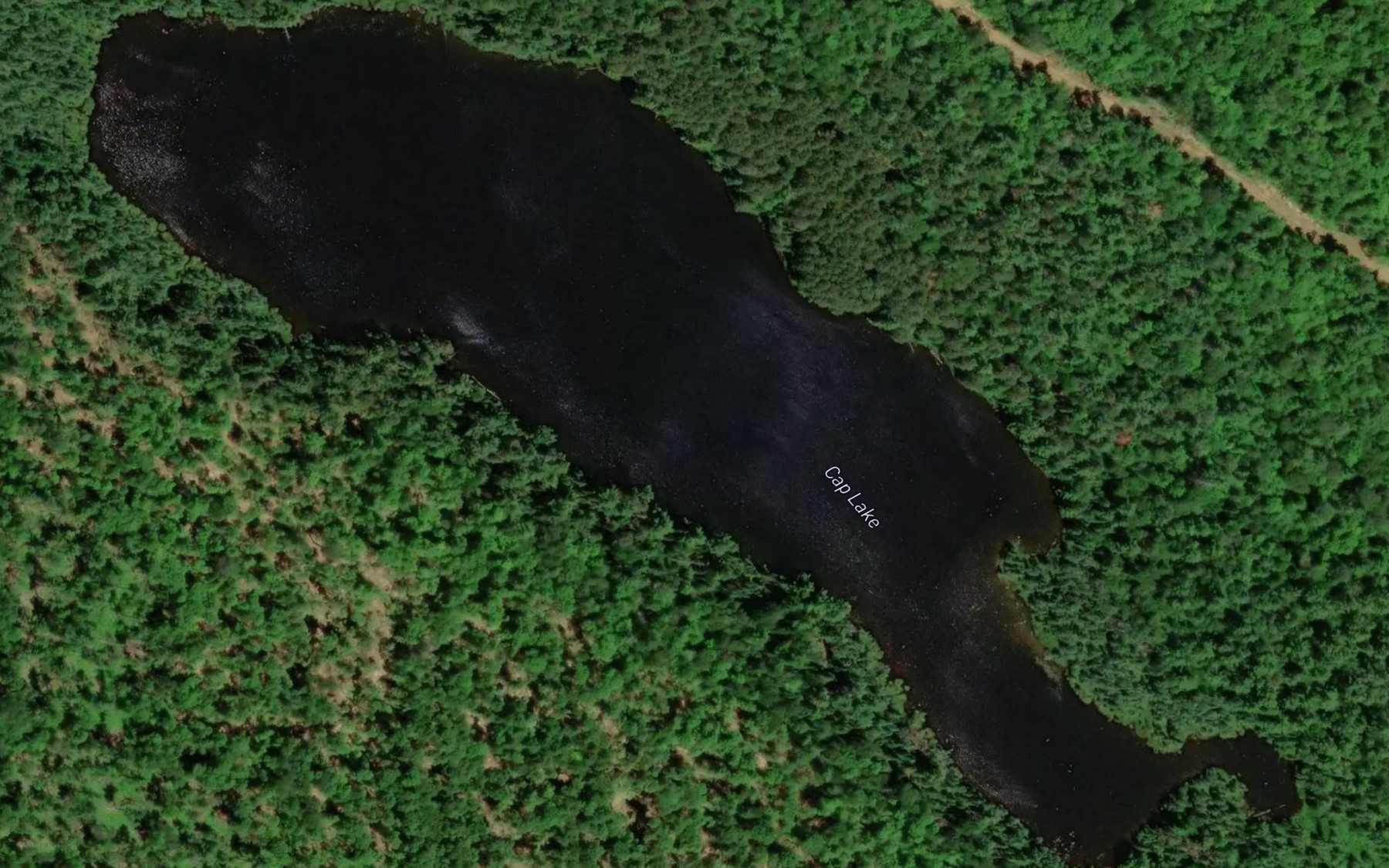Satellite map of the Cap Lake