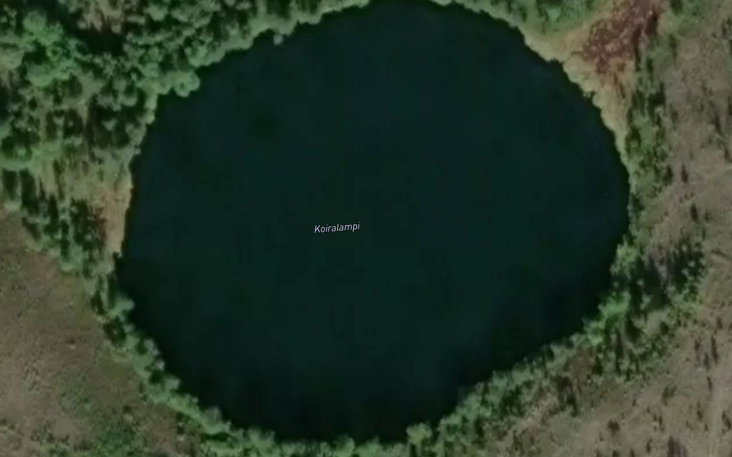 Koiralampi