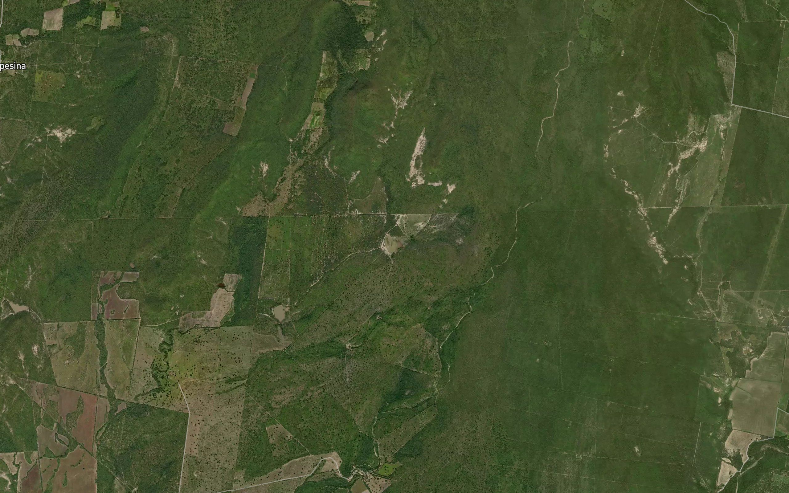 El Carpintero