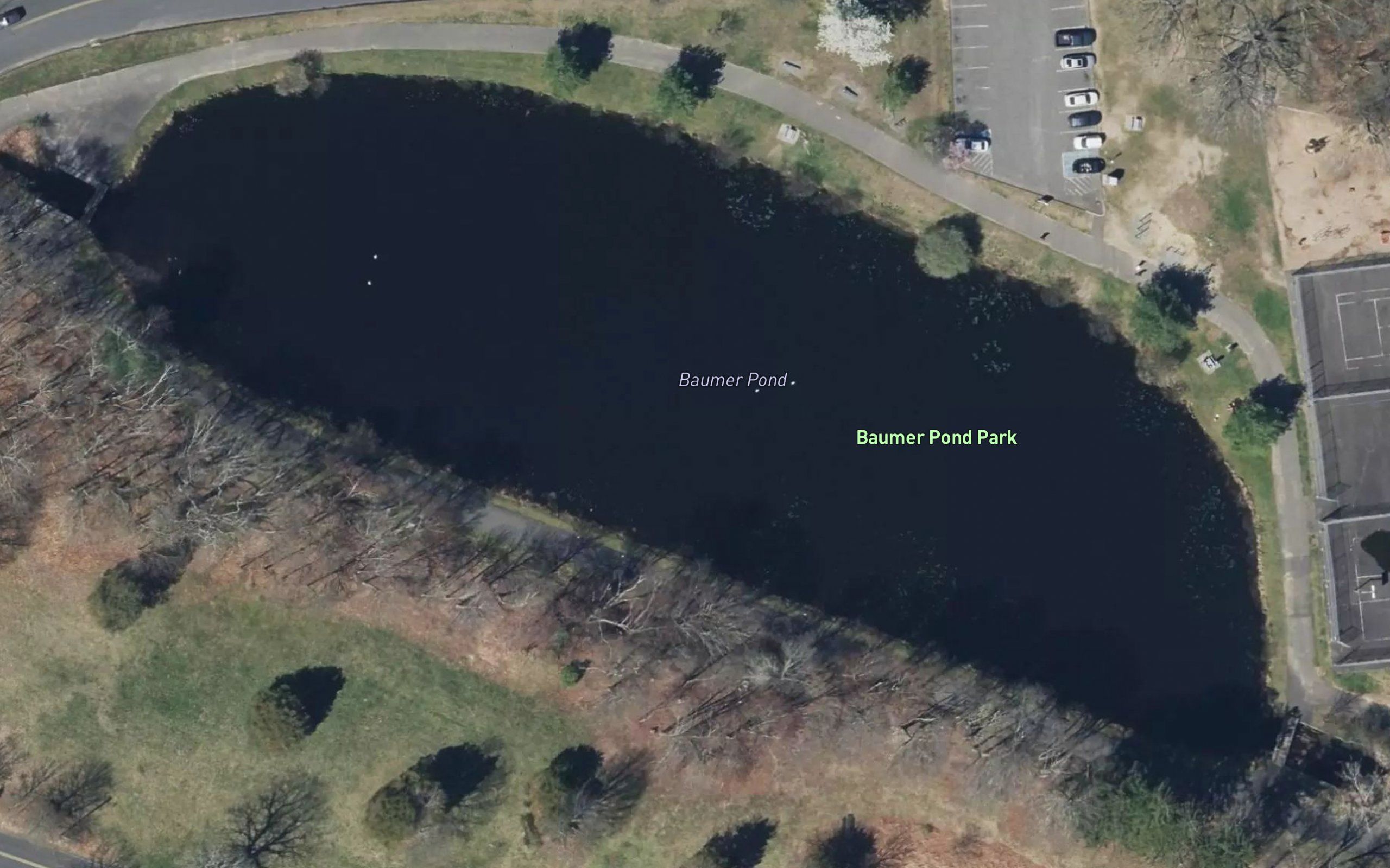 Baummer Pond