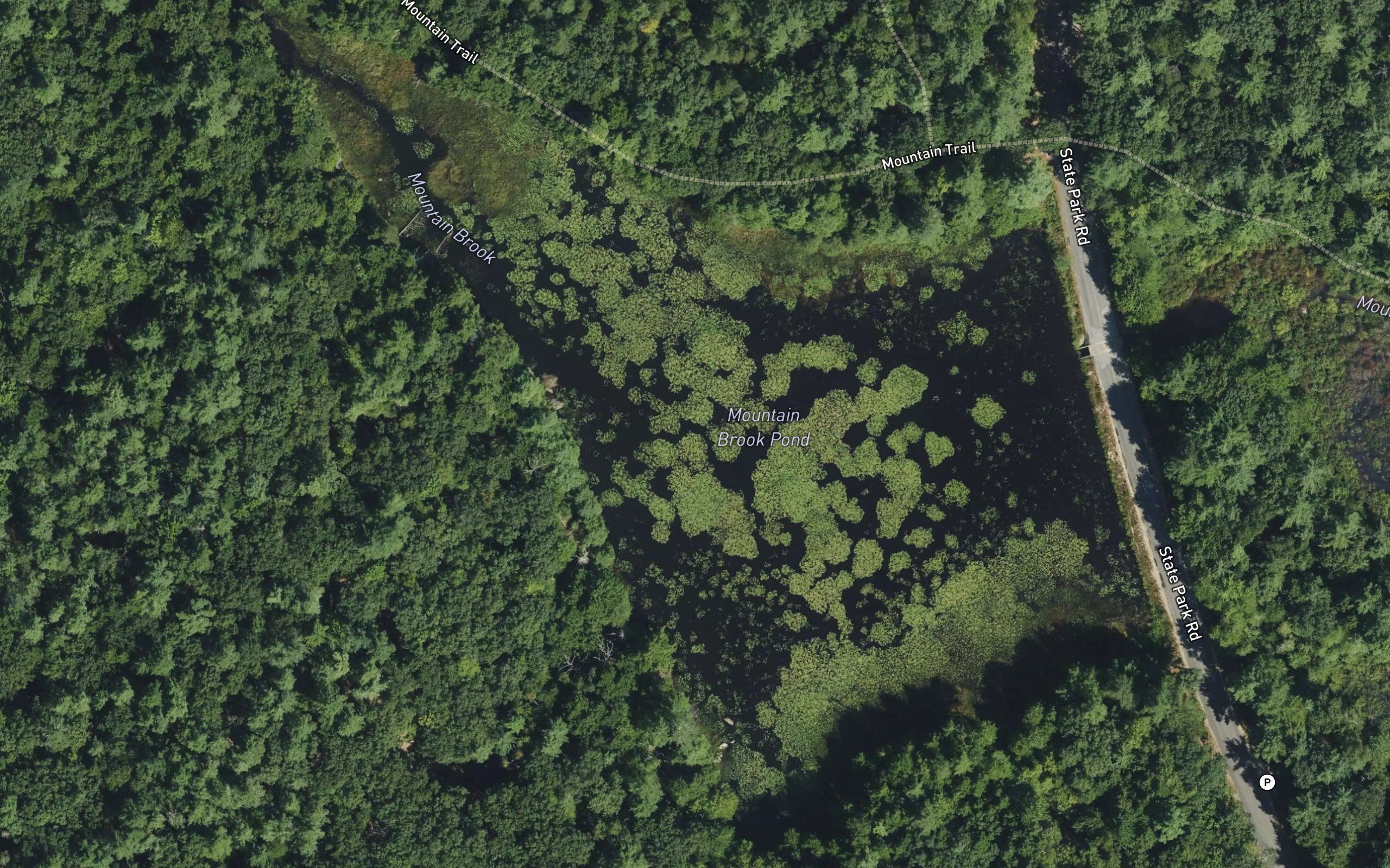 Mountain Pond