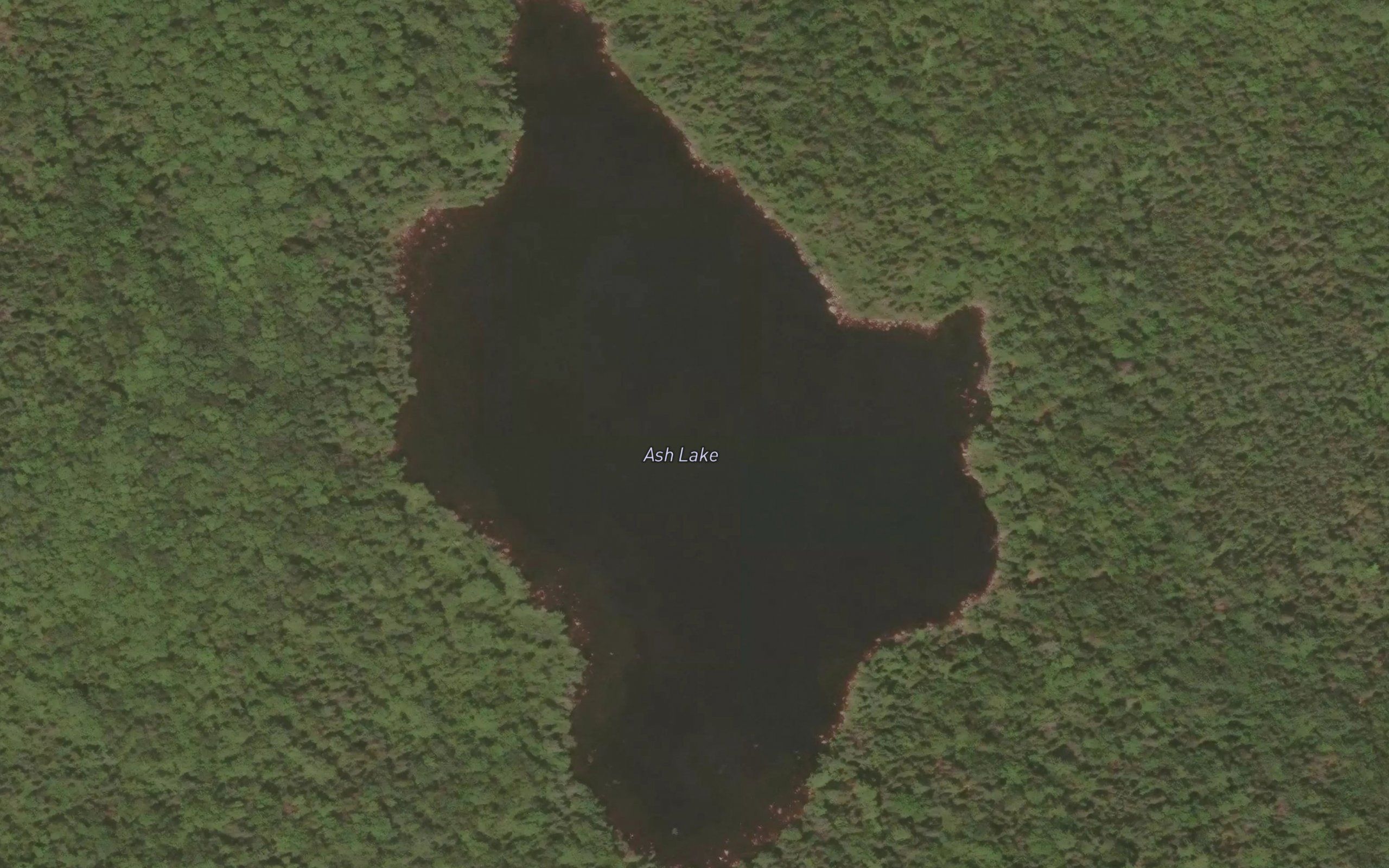 Ash Lake