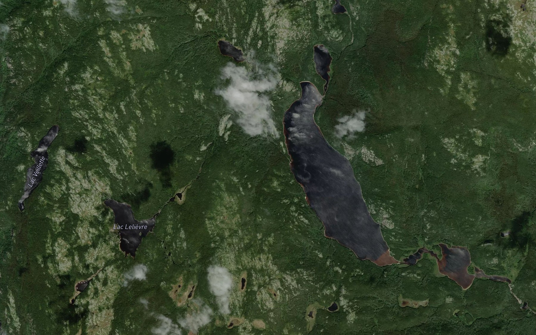 Satellite map of the Ruisseau Mouscoutchou