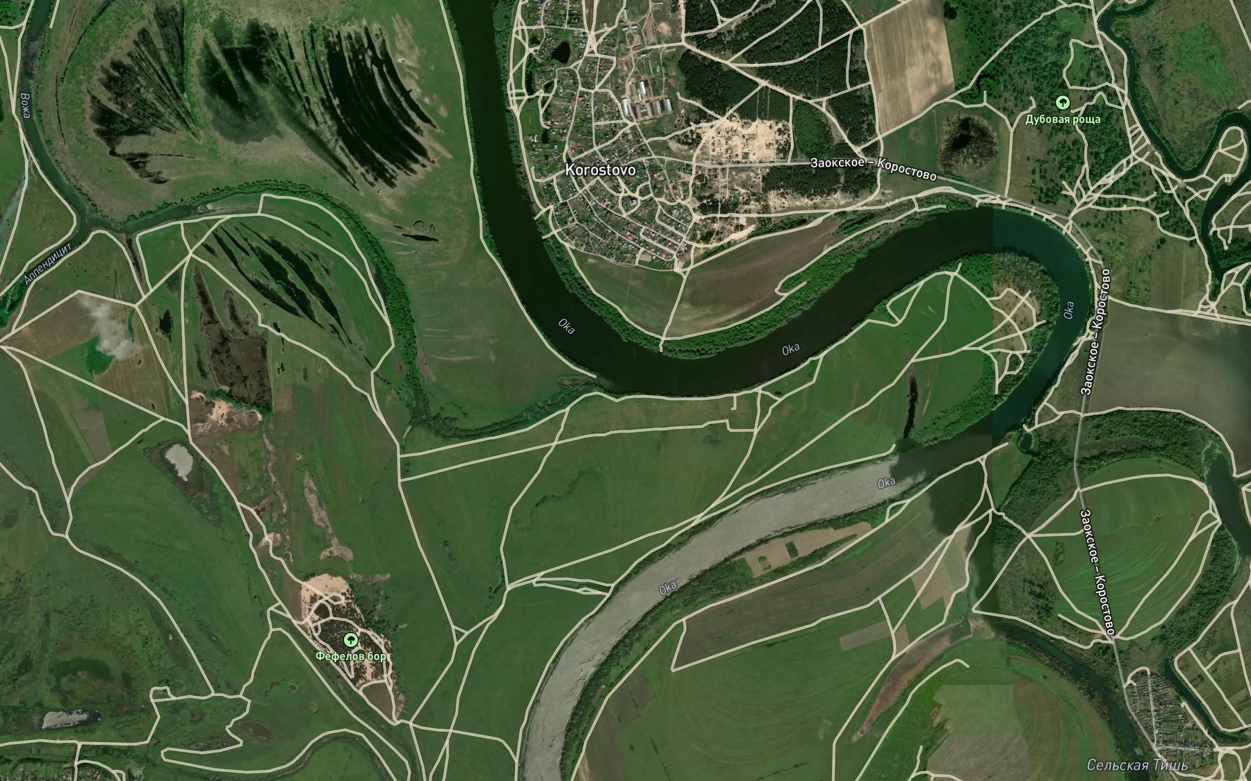 Satellite map of the Vozha