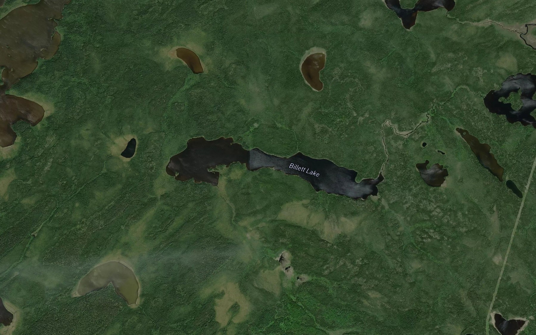 Satellite map of the Billett Lake