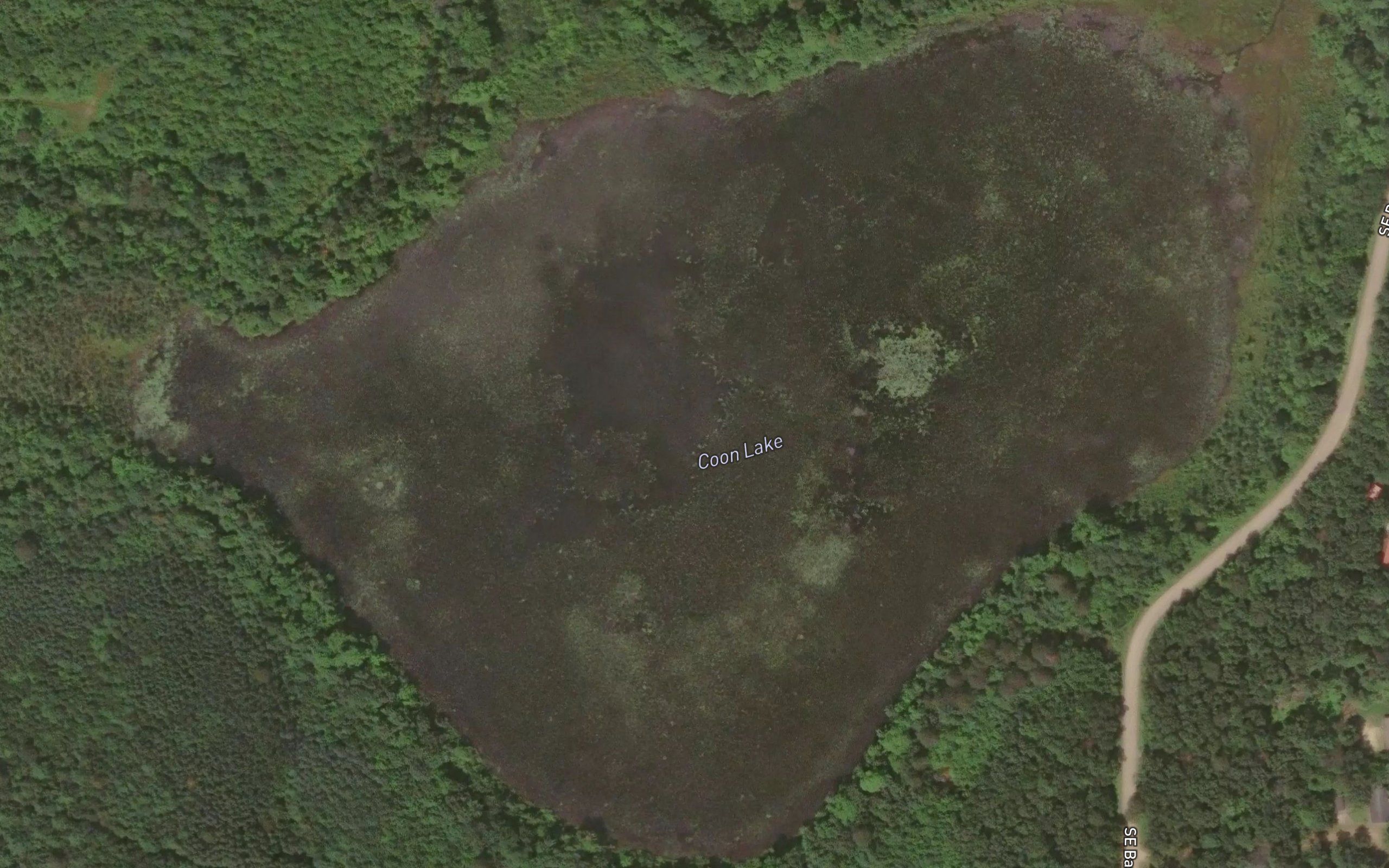 Coon Lake