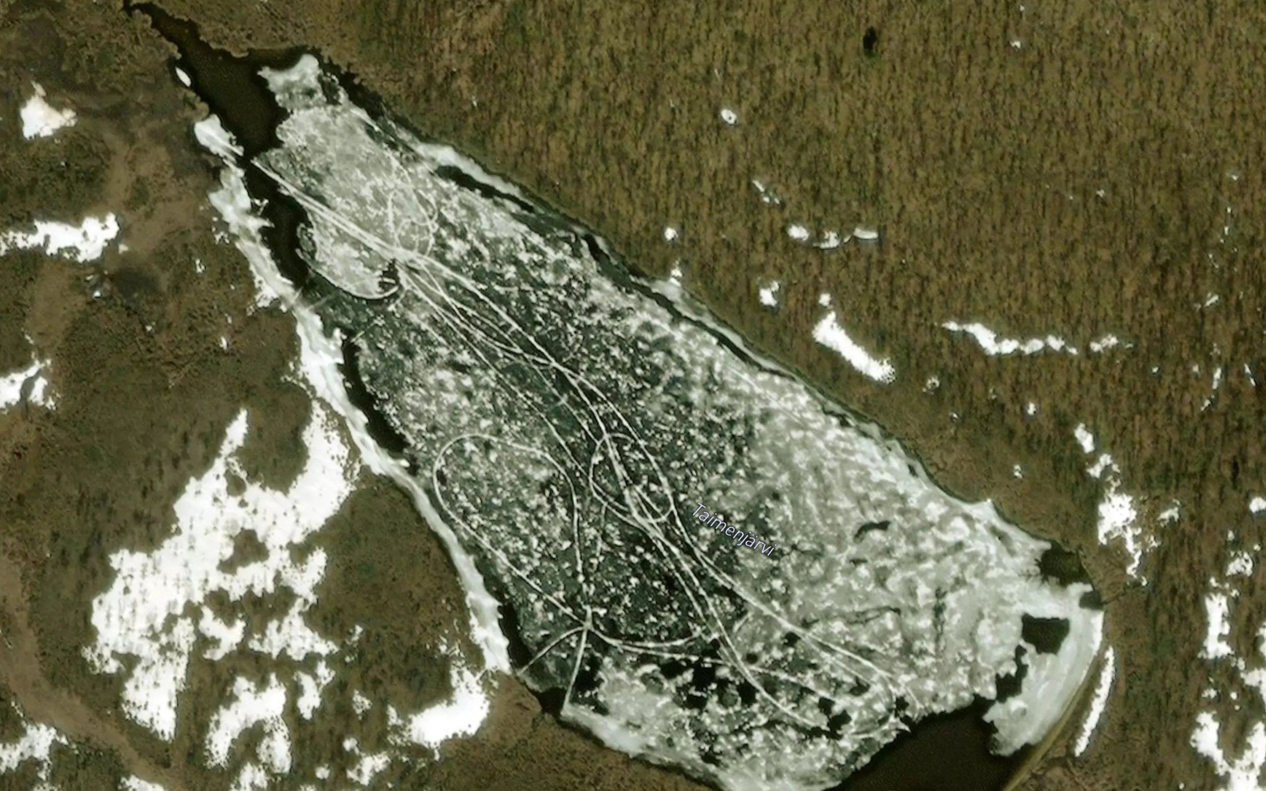 Viestarkeejiuaivlaadus