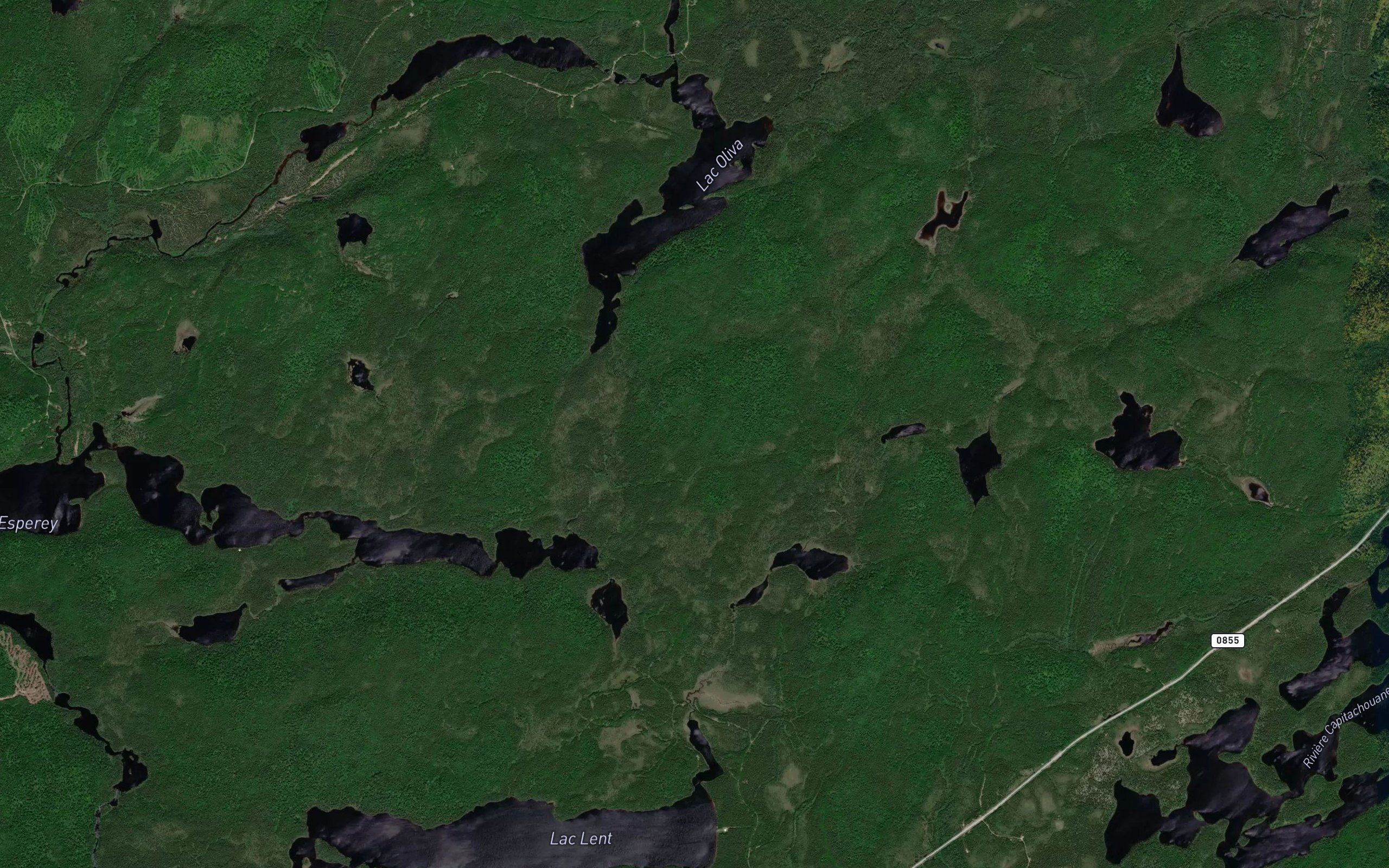 Lac du Nenuphar