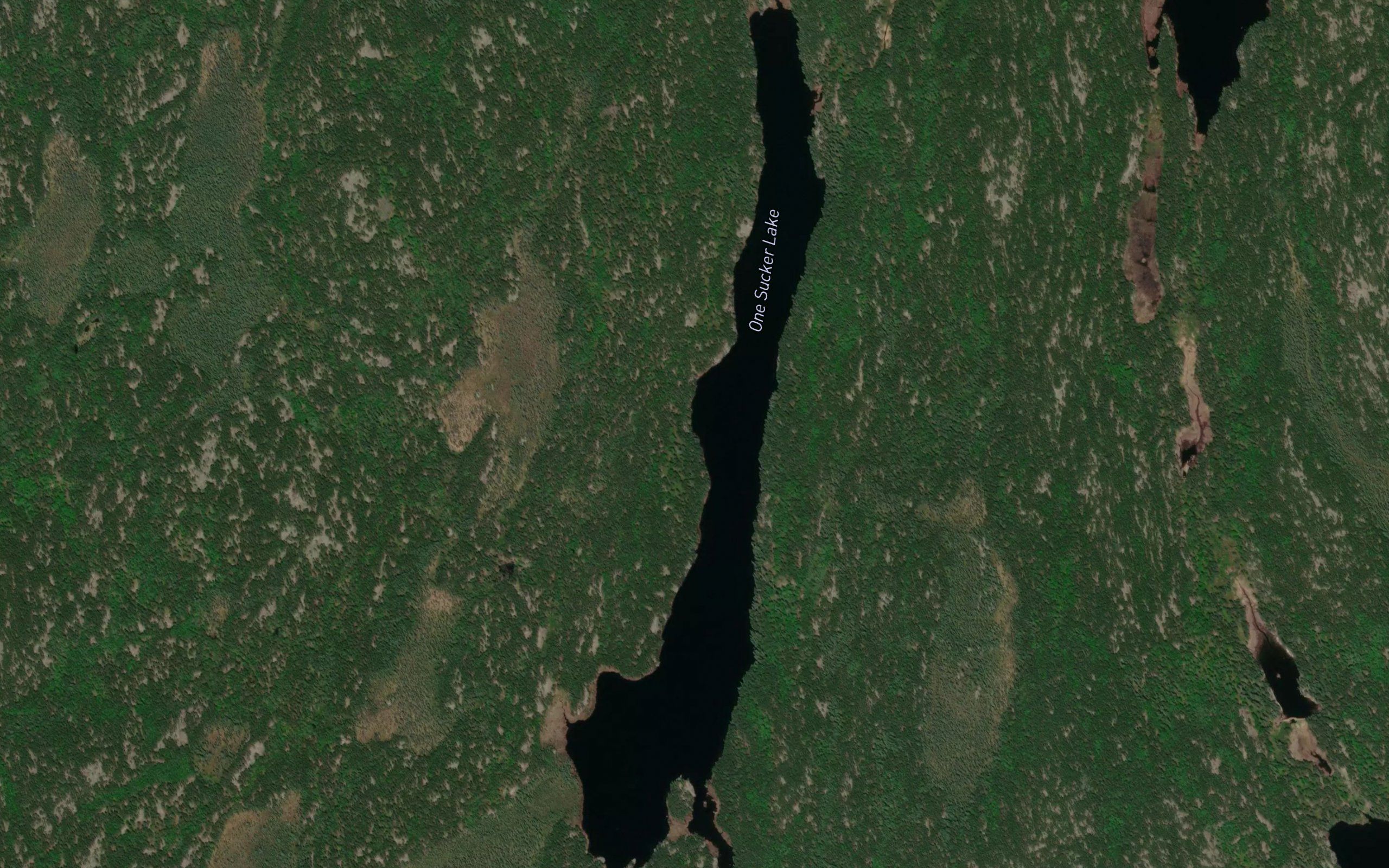 Slush Lake