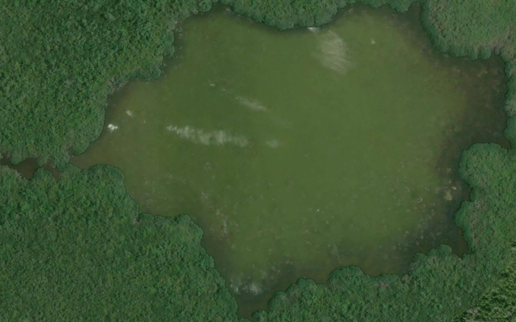 Satellite map of the Little Henry Lake
