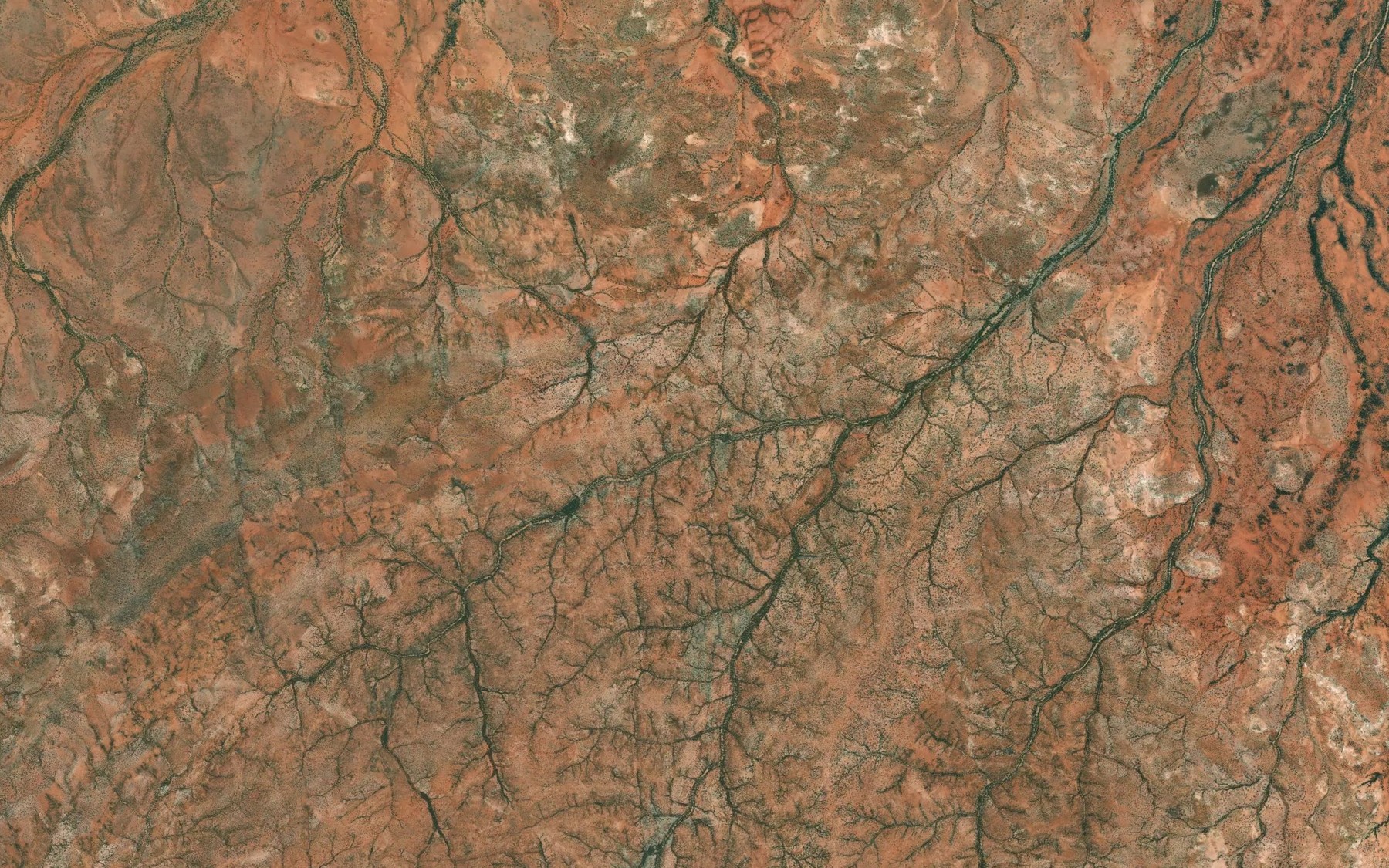 Satellite map of the Bockaburra Creek