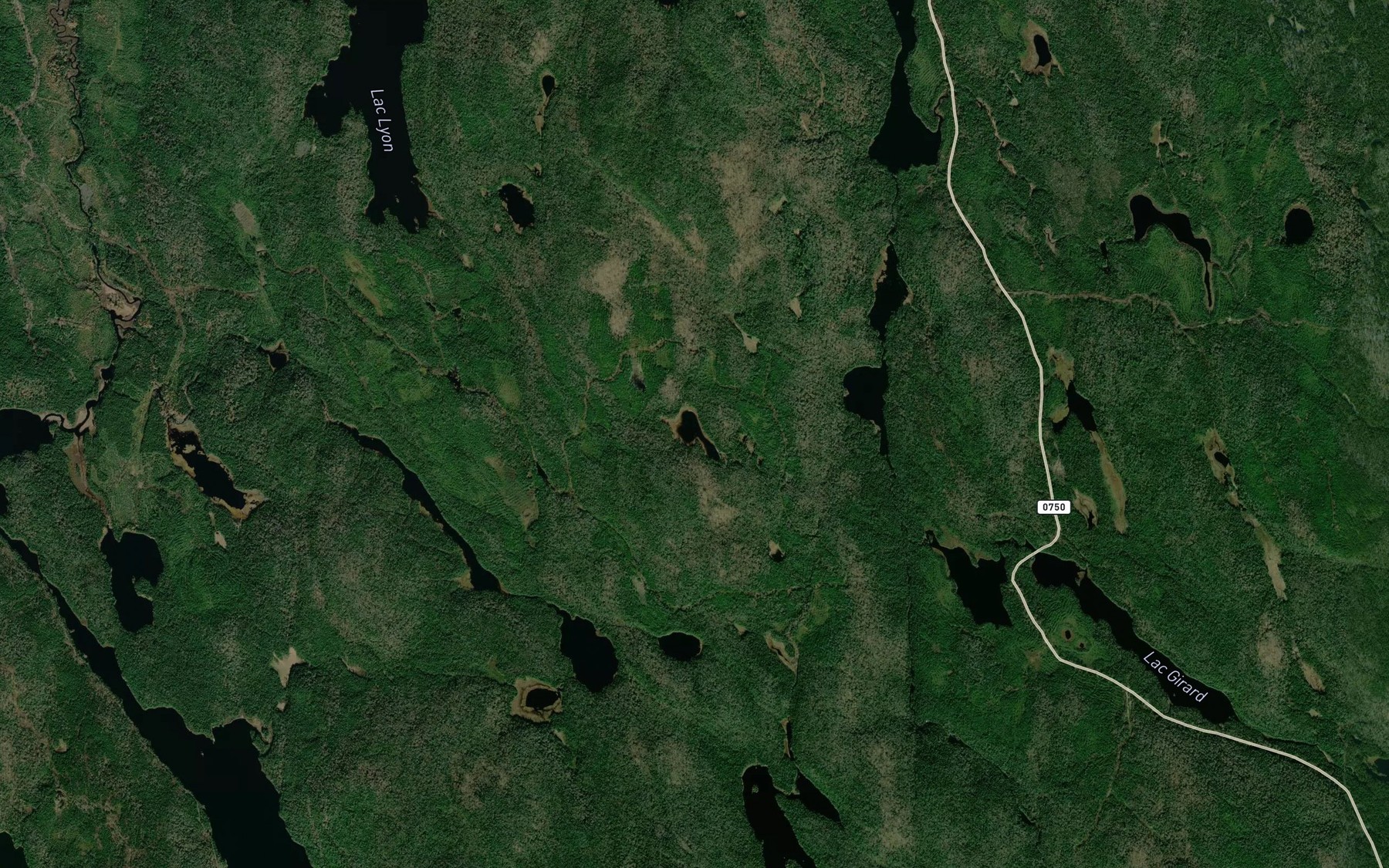 Satellite map of the Lac Grand Nez