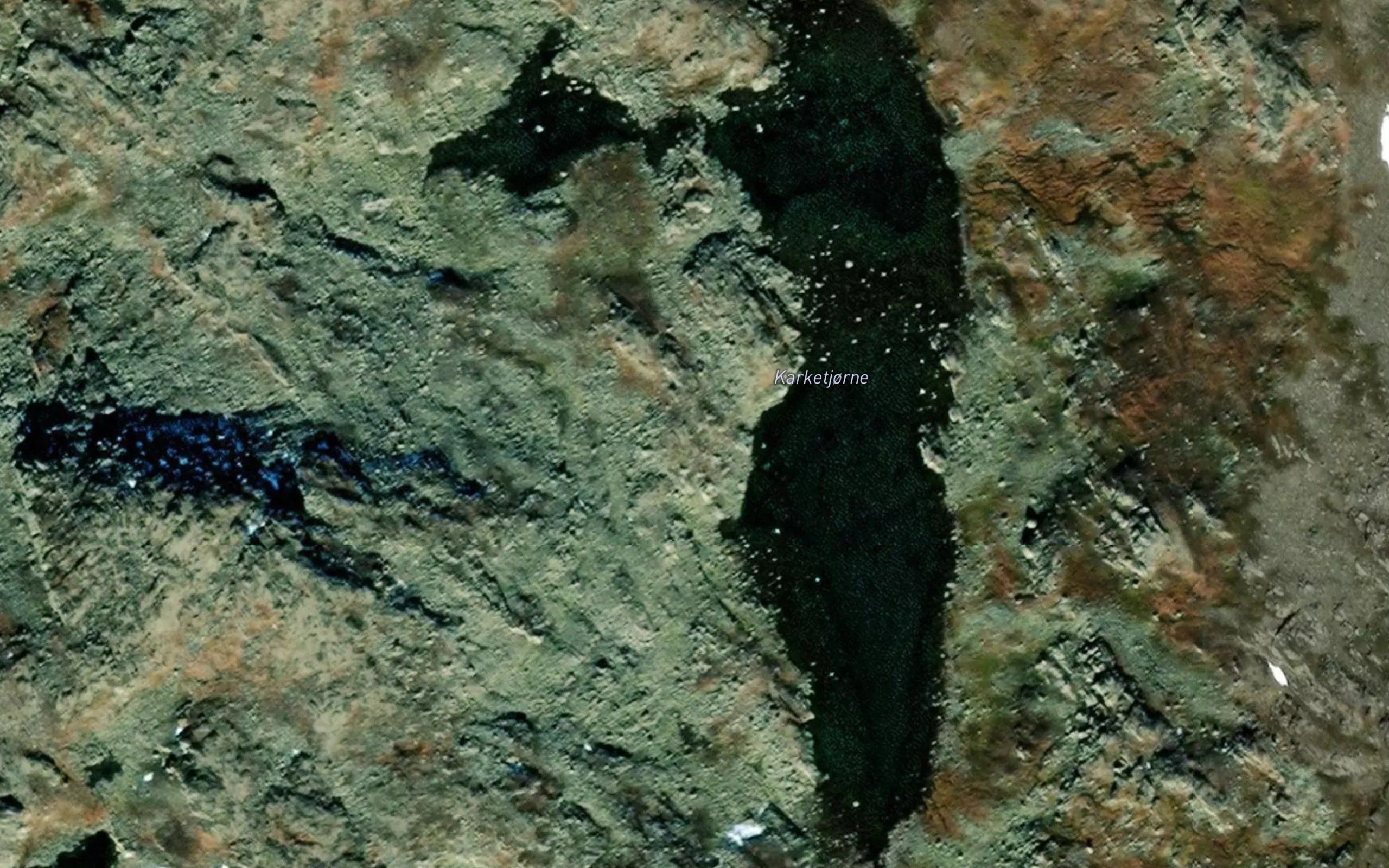 Karketjorne