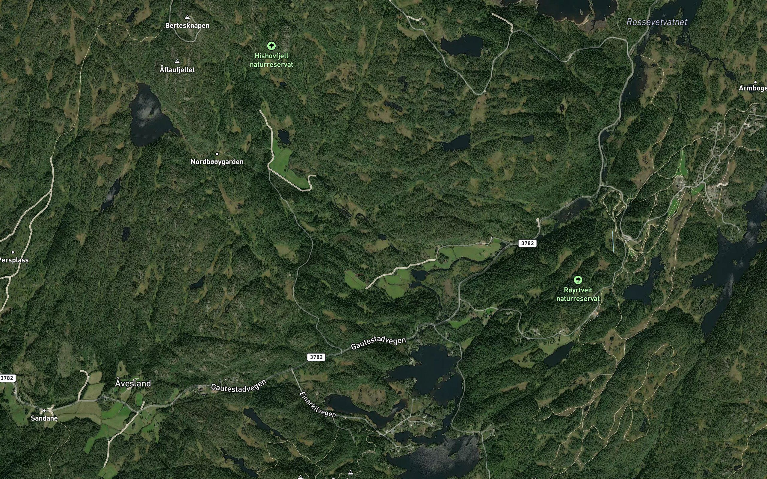 Tobakkstjorna