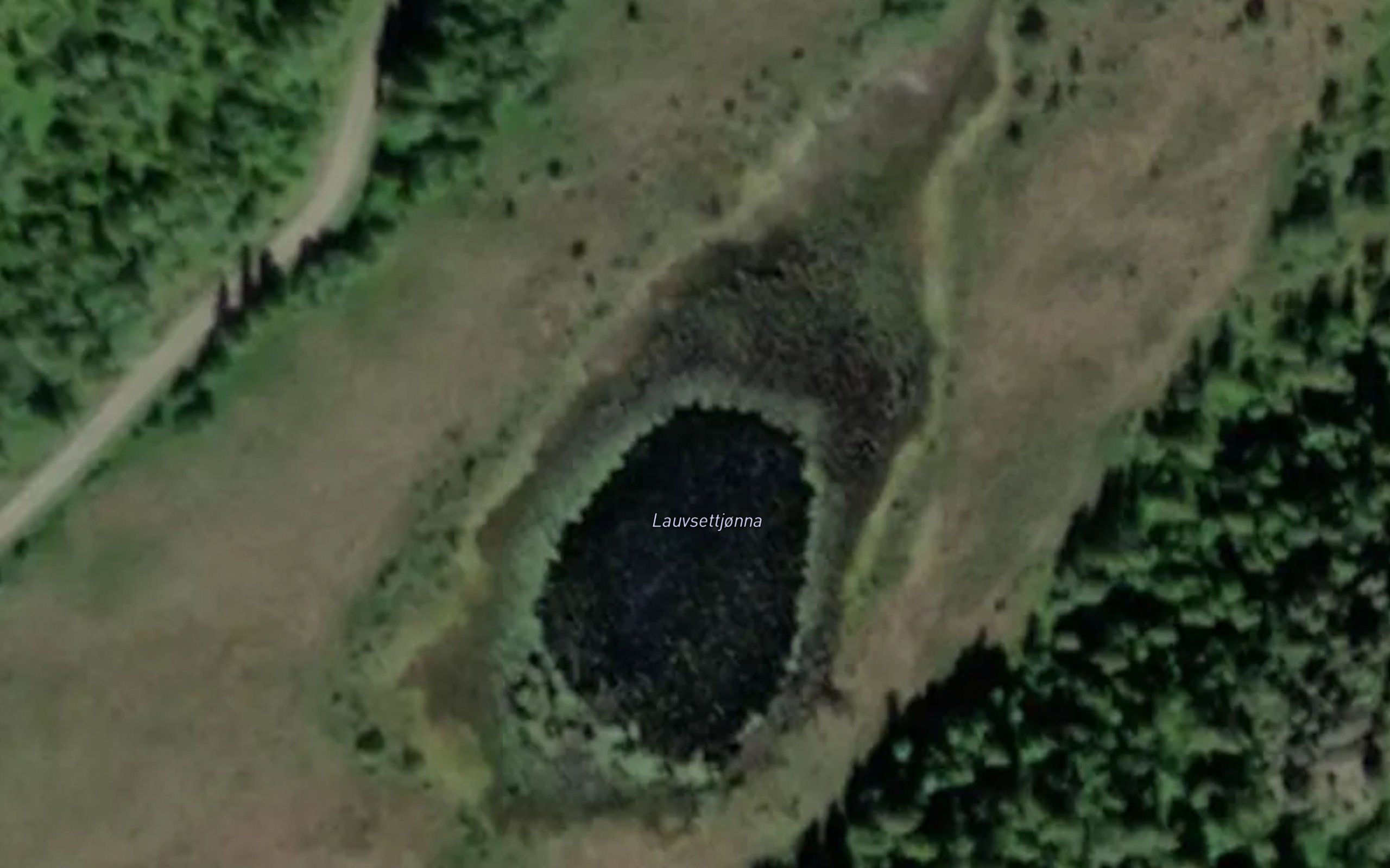 Lauvsettjorna